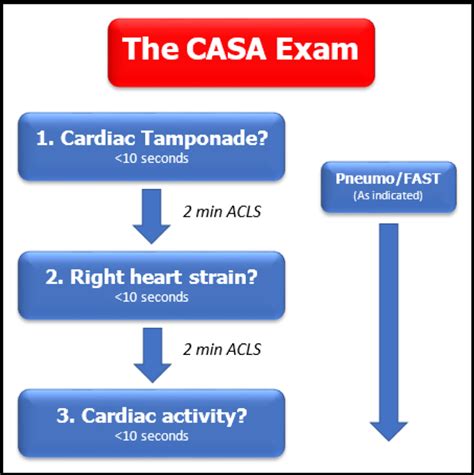 casa exam Reader