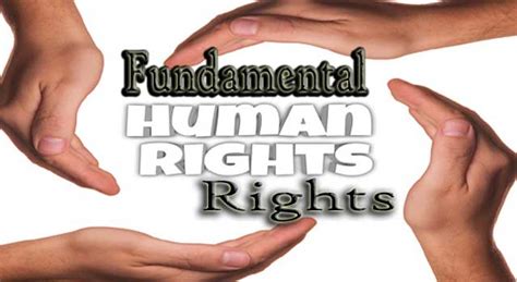 case studies on human rights and fundamental freedoms i v PDF