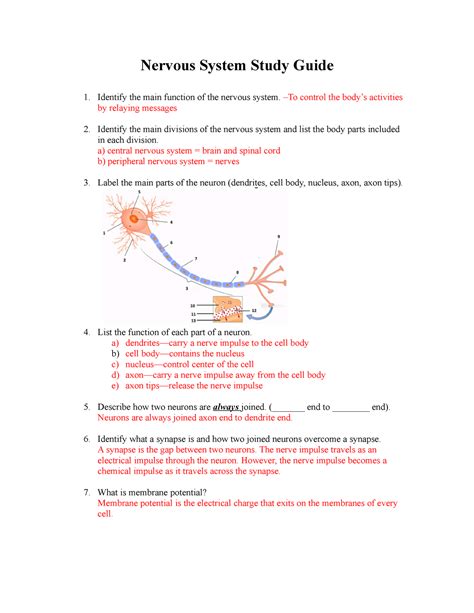 case study on the nervous system answers Doc