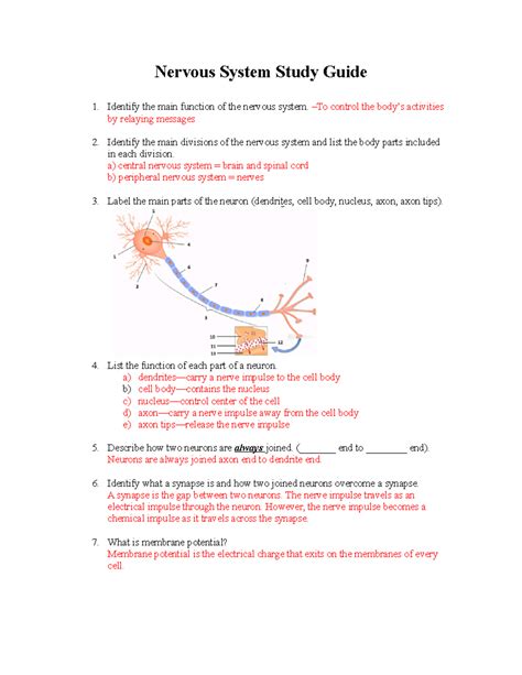 case study on the nervous system answers Doc