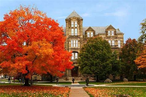 case western reserve university applicant portal