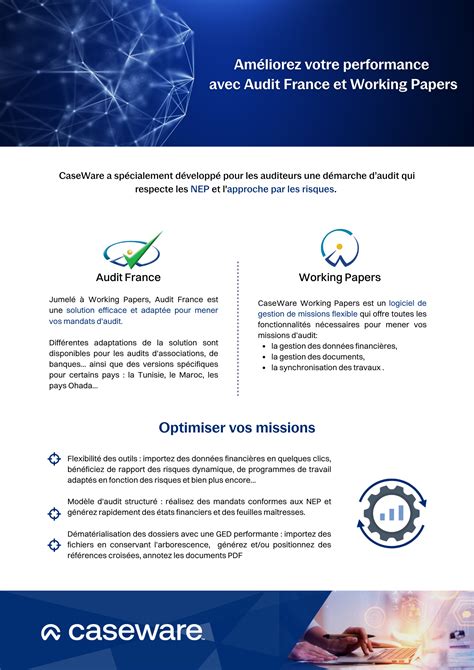 caseware audit working papers Epub