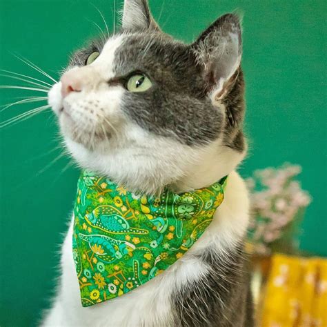 cat bandana