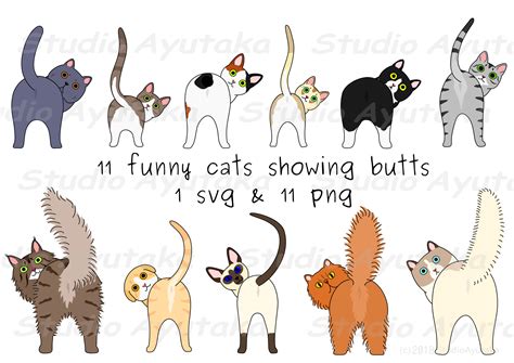 cat butts download Kindle Editon