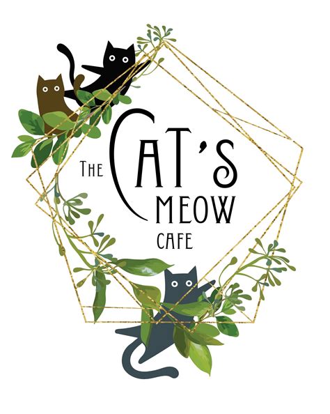 cat cafe bloomington il