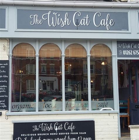 cat cafe wish