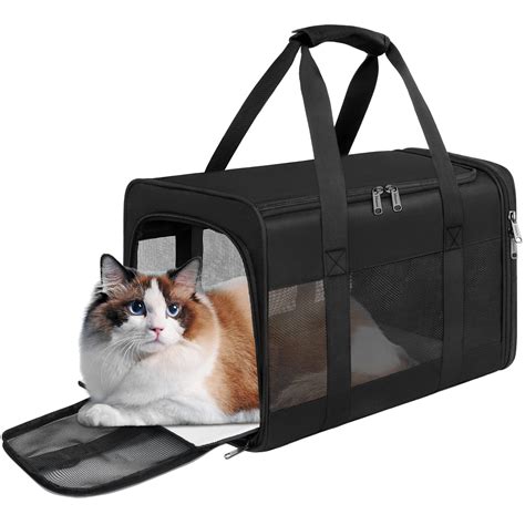 cat carriers near me