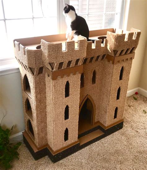 cat castle