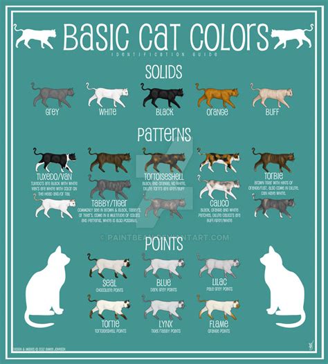 Cat Color Chart