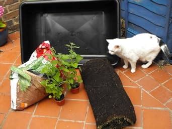 cat craft projects wheat grass cat garden PDF