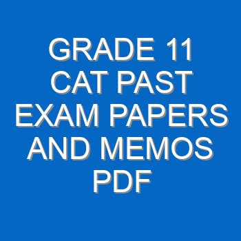 cat exam papers grade 11 Epub