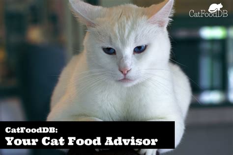 cat food advisor