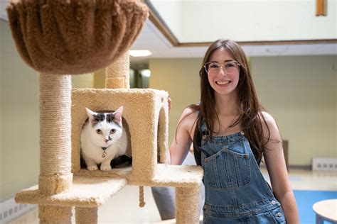 cat friendly colleges