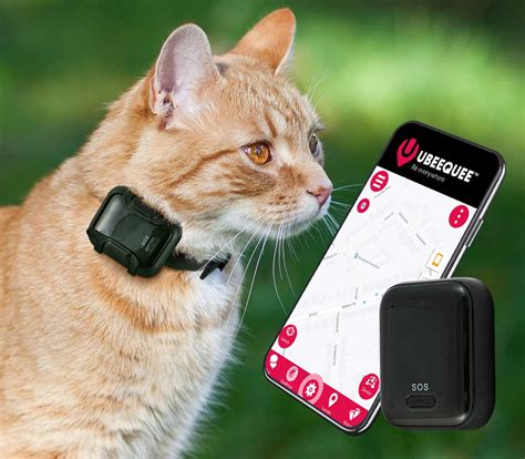 cat gps tracker