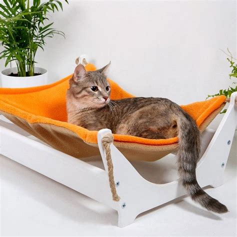 cat hammocks