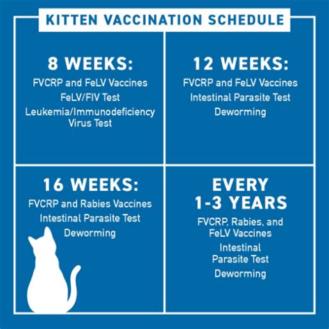 cat immunizations cost