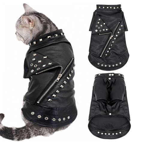 cat jacket