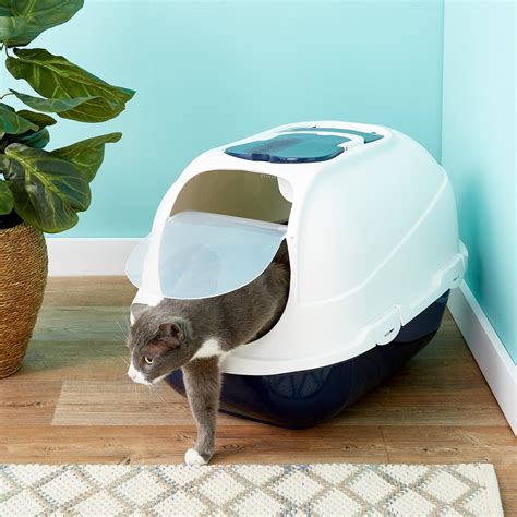 cat litter boxes