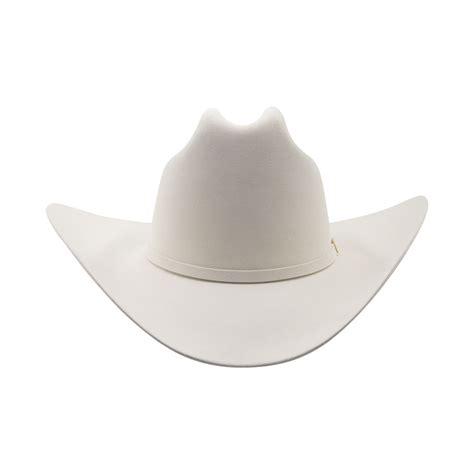 Cat Logo De Texanas Stetson