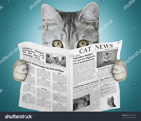 cat newspaper