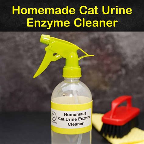 cat pee remover