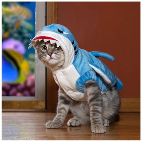 cat shark costume