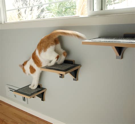 cat steps for wall