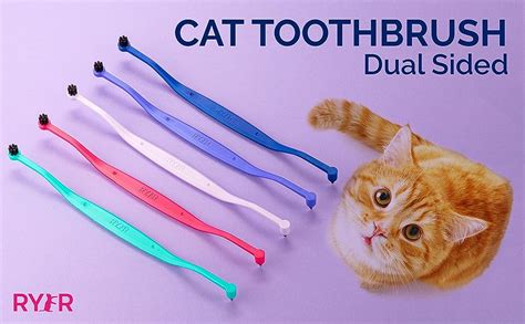 cat toothbrush