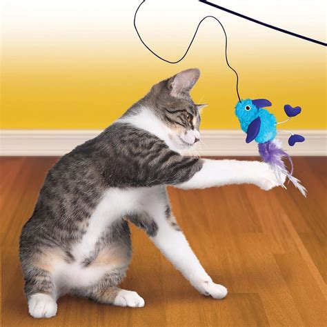 cat toys for cats