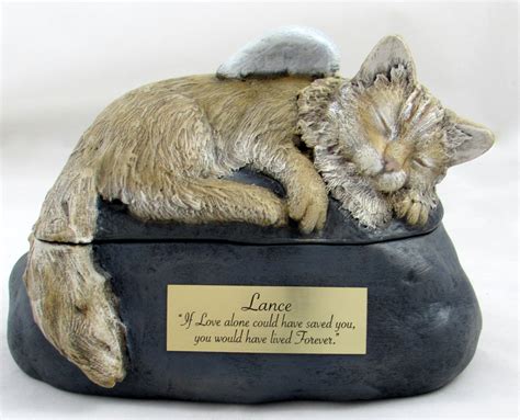 cat urn