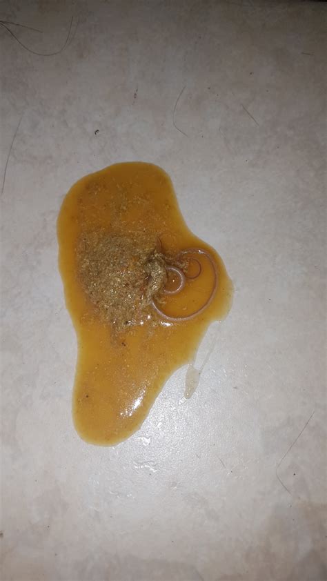 cat vomit worm