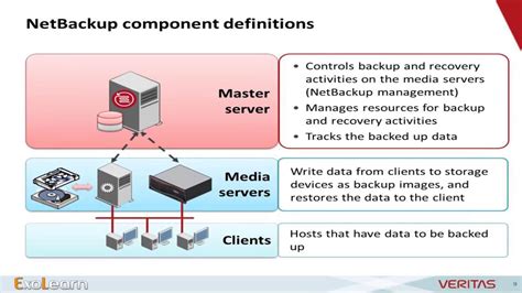 Catalog Backup In Netbackup
