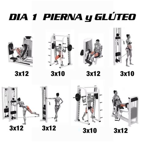Catalogo De Ejercicios Gym