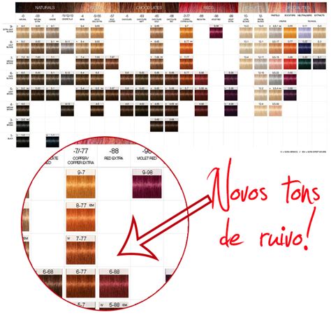 Catalogo De Igora Royal