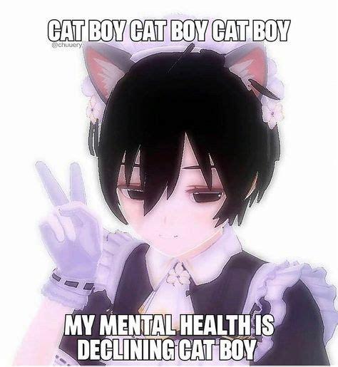 catboy meme