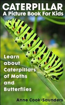 caterpillar a picture book for kids learn about caterpillars of moths and butterflies Reader