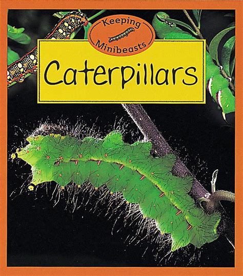 caterpillars keeping minibeasts sea to sea Epub