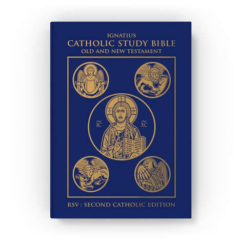 catholic bible study new testament PDF