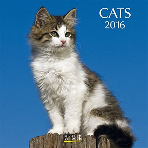 cats 2016 broschürenkalender broschürenkalender mit ferienterminen Doc