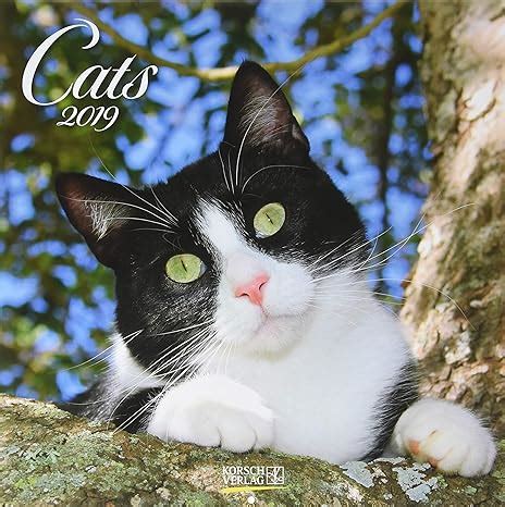 cats 2016 broschürenkalender broschürenkalender mit ferienterminen Doc