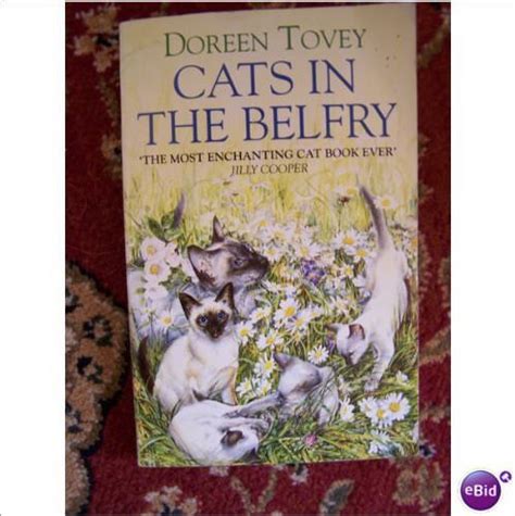 cats in the belfry Reader