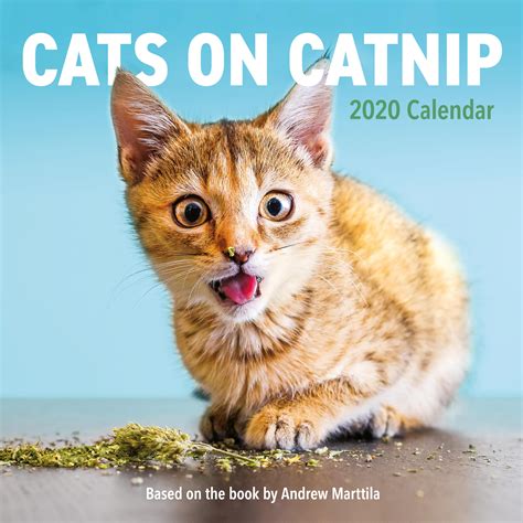 cats on catnip wall calendar 2020 Epub