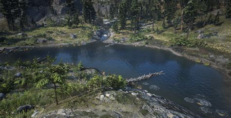 cattail pond rdr2