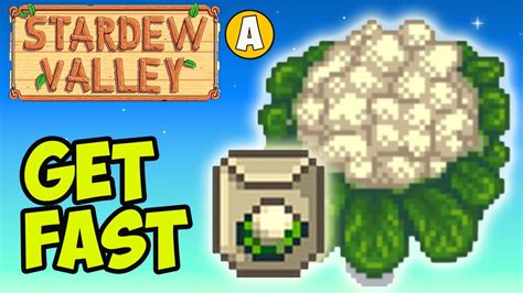 cauliflower stardew