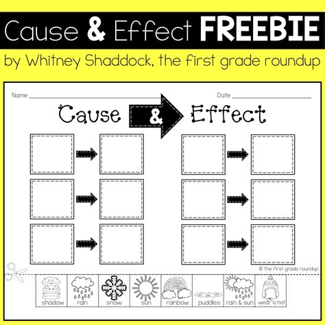 cause and effect worksheets first grade document Doc