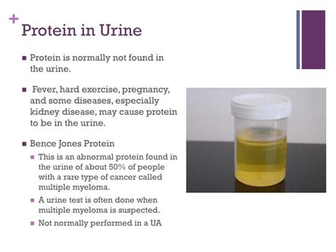 causes of protein in urine