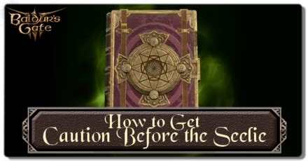 caution before the seelie bg3