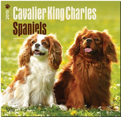 cavalier king charles spaniel puppies 2015 square 12x12 Reader