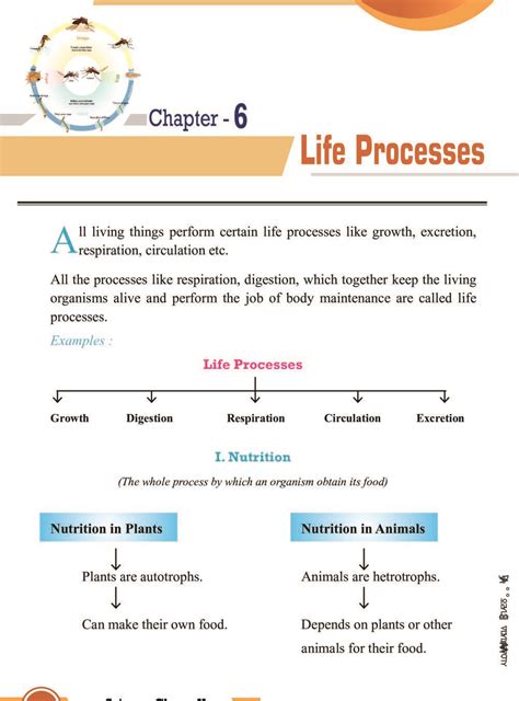 cbse class 10 chapter life processes notes Epub