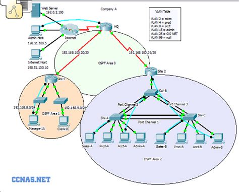 ccna 3 scaling networks lab answers Kindle Editon